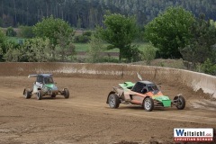 260517_AX-Rappolz_093