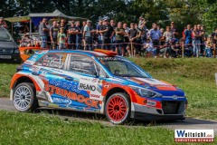 TOYOTA Keusch Grasl-Rallye-Horn
