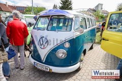 240501_Kaefertreffen_121