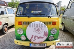 240501_Kaefertreffen_126