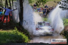 Rallye W4